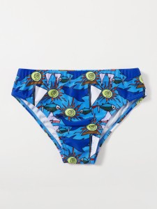 Toddler Boys Cartoon Graphic Panty