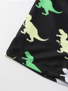 Boys Dinosaur Print Beach Swimwear