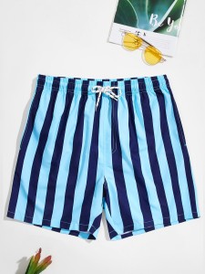 Men Striped Drawstring Waist Swim Trunks