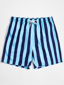 Men Striped Drawstring Waist Swim Trunks