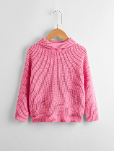 Toddler Girls Turtle Neck Drop Shoulder Sweater