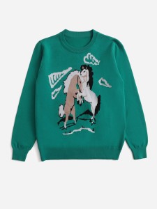 Girls 1pc Horse Pattern Sweater