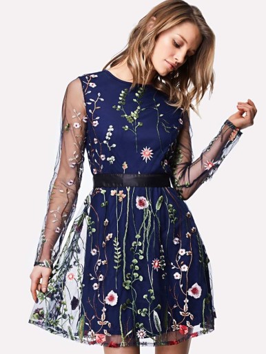 Embroidered Mesh Overlay Fit & Flare Dress