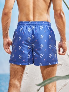 Men Tropical Print Drawstring Swim Trunks