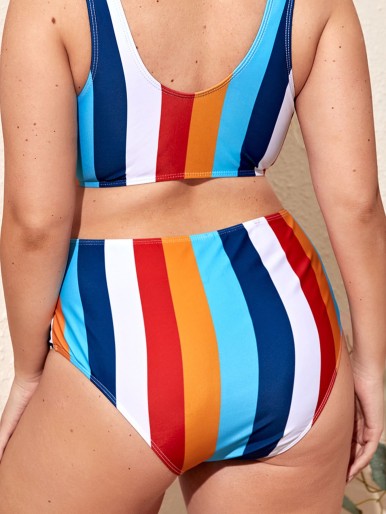 Plus Colorblock Bikini Panty