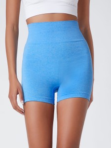 Seamless Wideband Waist Sports Shorts