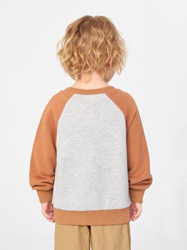 Toddler Boys Bear Embroidery Raglan Sleeve Colorblock Sweatshirt