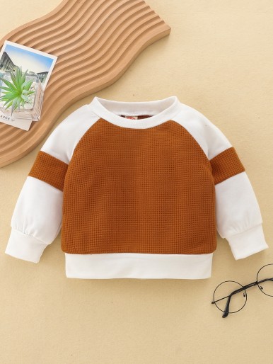 Baby Colorblock Raglan Sleeve Sweatshirt