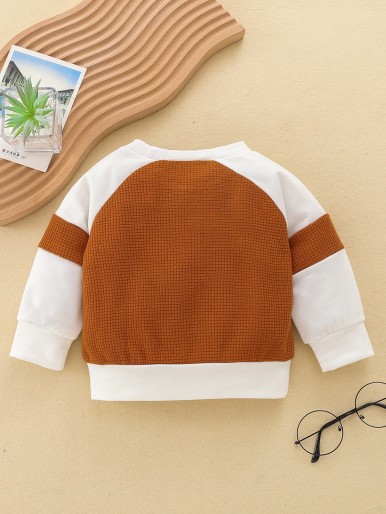 Baby Colorblock Raglan Sleeve Sweatshirt