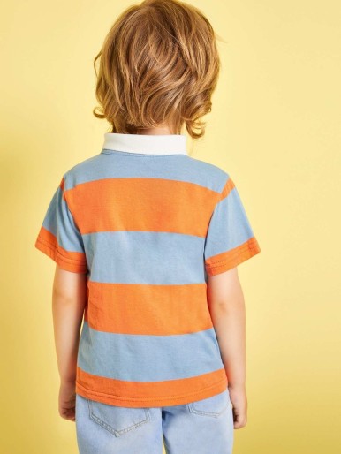 Toddler Boys Cut And Sew Panel Polo Shirt