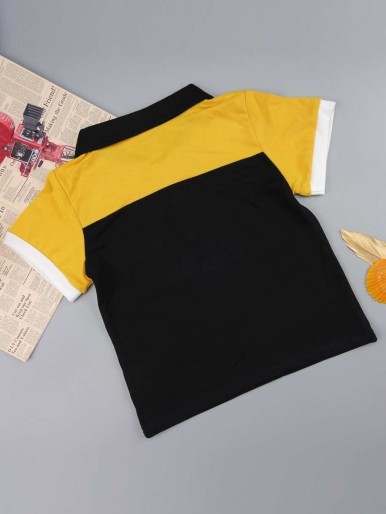 Toddler Boys Cut And Sew Polo Shirt