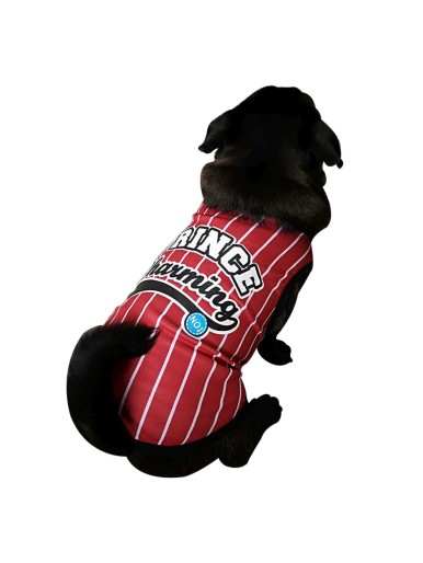 1pc Stripe Dog Jersey