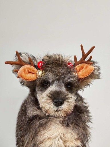 2pcs Christmas Antlers & Bell Decor Dog Hair Clip