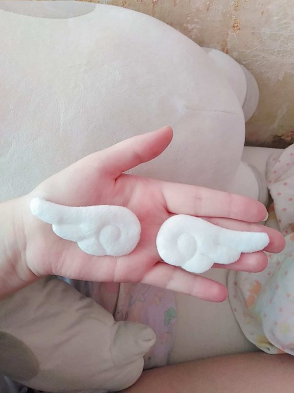 2pcs Random Angel Wings Hair Clip