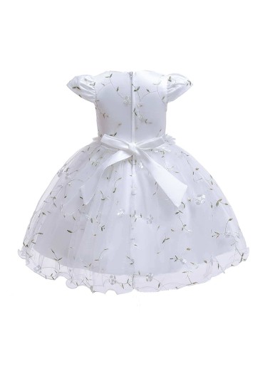 Baby Girl Bow Back Pears Embroidery Mesh Gown Dress