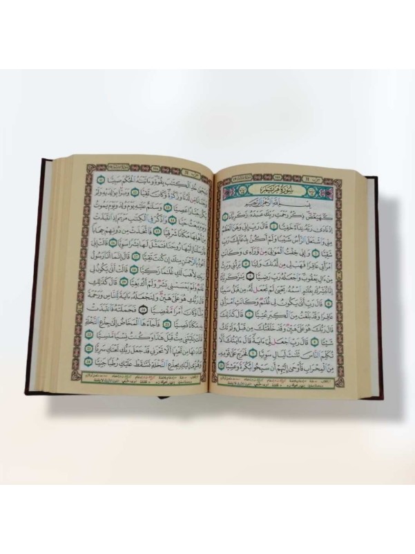 Tajweed Quran measuring 20*14