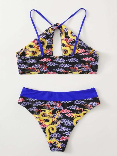 Dragon Print Cut-out Bikini Swimsuit