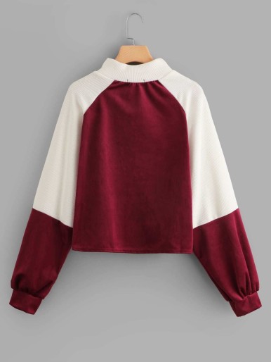 Raglan Sleeve Color Block Sweatshirt