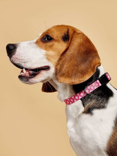 Geometric Pattern Dog Collar