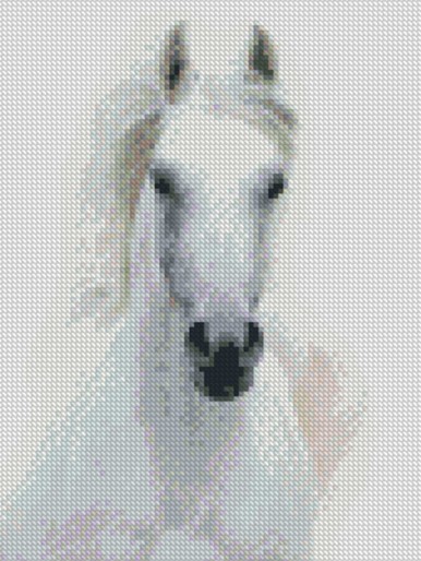 Horse Pattern Diamond Painting Without Frame