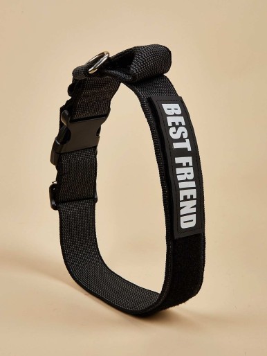 Letter Graphic Dog Collar