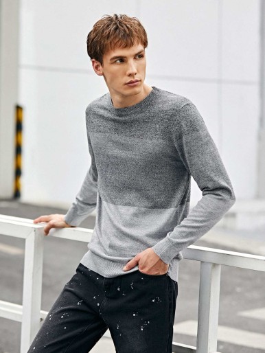 Men Color Block Crew Neck Sweater