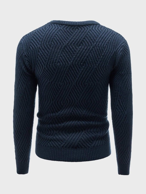 Men Textured Knit Crew Neck Sweater