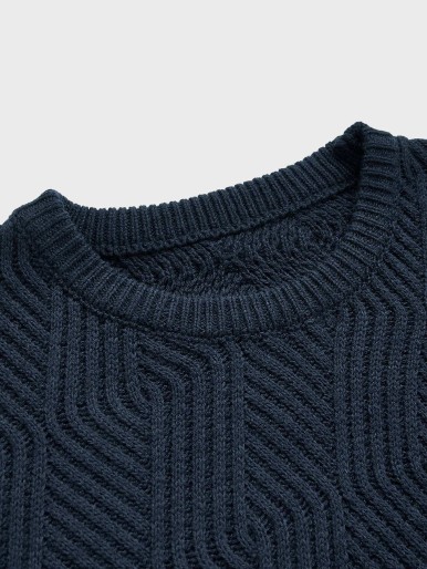 Men Textured Knit Crew Neck Sweater