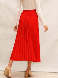 SHEIN Drawstring Waist Pleated Skirt