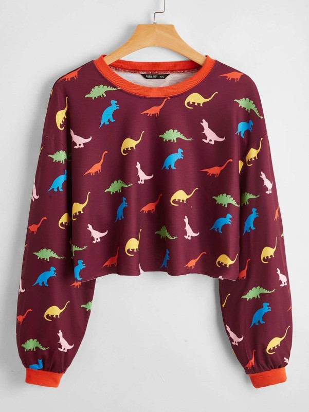 Shein clearance dinosaur jumper