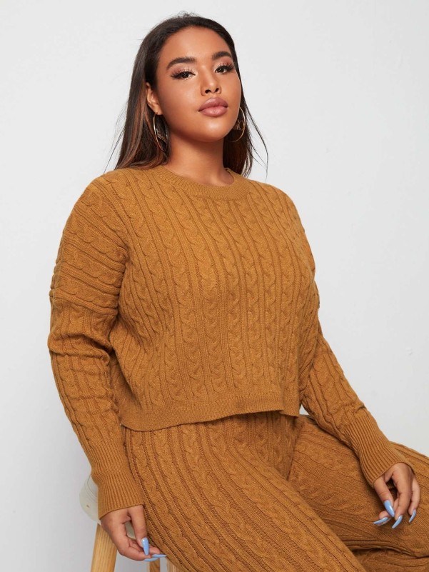 SHEIN Plus Drop Shoulder Cable Knit Sweater