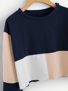 Cut And Sew Crop Sweatshirt