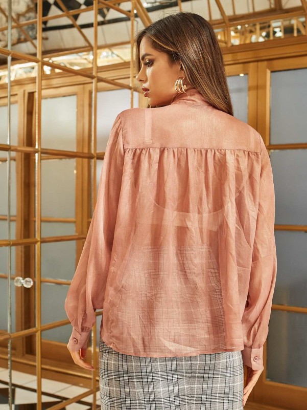 Semi-sheer blouse with tie detail