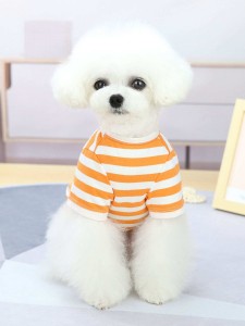 Striped Pattern Pet Tee