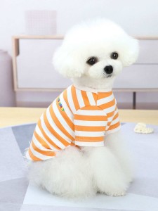 Striped Pattern Pet Tee