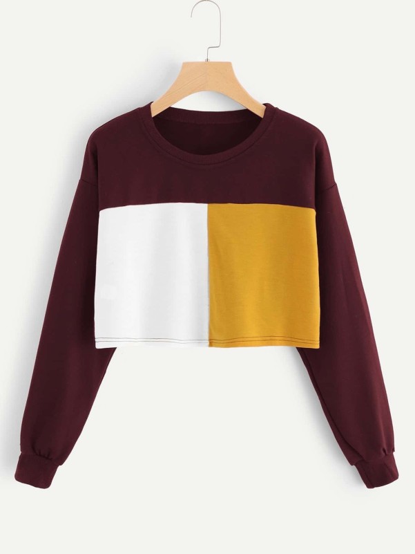 Color Block Crop Sweatshirt