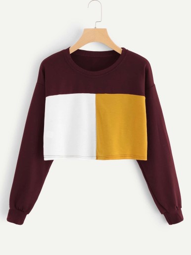 Color Block Crop Sweatshirt
