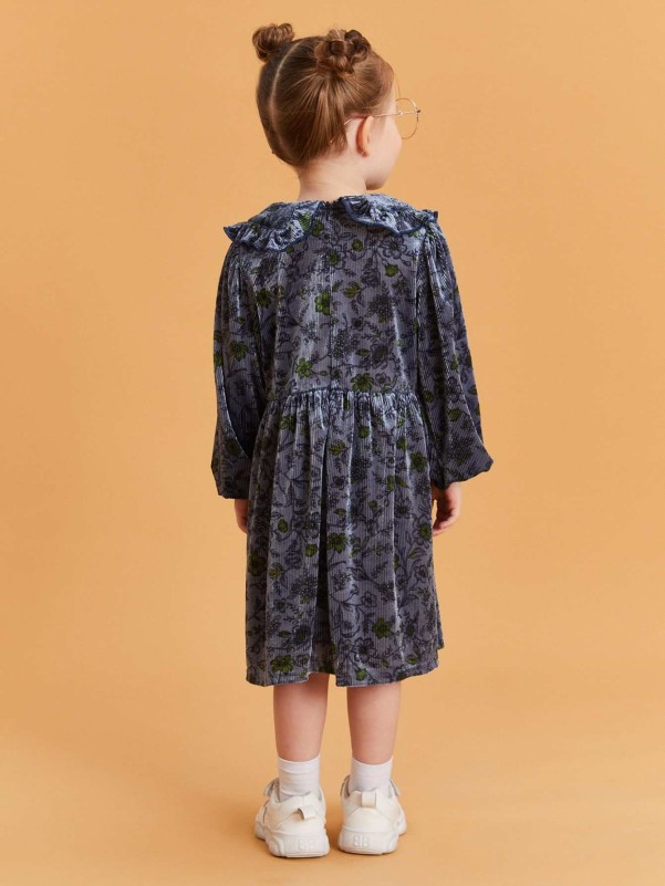 SHEIN Toddler Girls Floral Print Peter-pan Collar Lantern Sleeve Velvet Dress