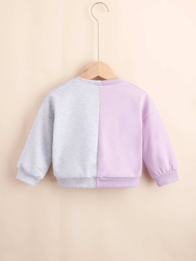 Toddler Girls Letter Graphic Colorblock Drop Shoulder Sweatshirt