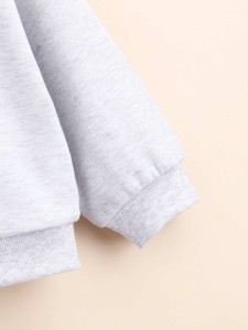 Toddler Girls Letter Graphic Colorblock Drop Shoulder Sweatshirt