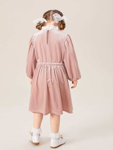 SHEIN Toddler Girls Contrast Dobby Mesh Ruffle Trim Lantern Sleeve Velvet Dress
