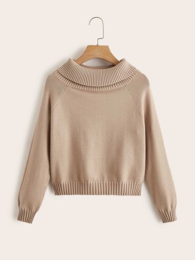 Girls Turtleneck Raglan Sleeve Sweater