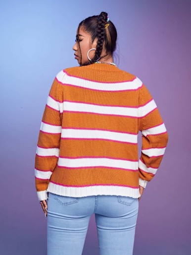 SHEIN Plus Colorblock Raglan Sleeve Sweater