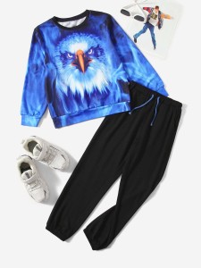 SHEIN Boys Eagle Print Pullover & Drawstring Waist Sweatpants