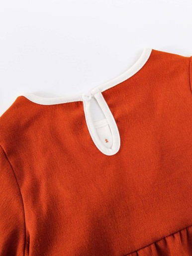 Toddler Girl Colorblock Button Ruffle Trim Dress
