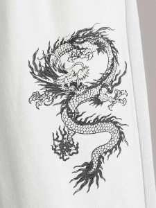 SHEIN Boys Two Tone Chinese Dragon Print Sweatpants