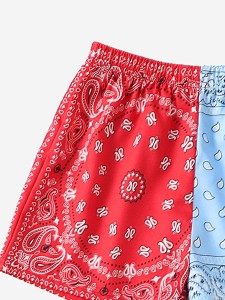 SHEIN Girls 2pcs Paisley Print Shorts