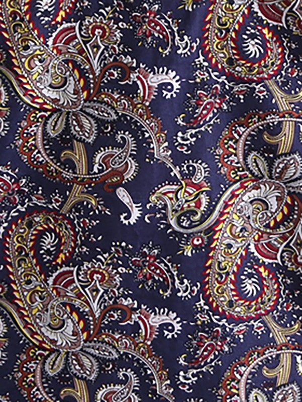 Toddler Boys Paisley Print Button Front Shirt