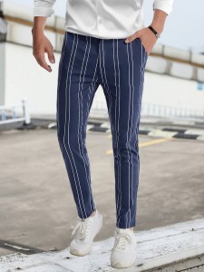 Men Striped Print Zipper Fly Pants