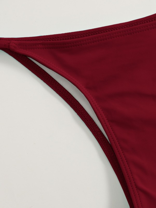 Seam Detail Triangle Thong Bikini Swimsuit